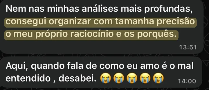 Print do WhatsApp de Amanda: nem nas minhas análises mais profundas consegui organizar com tamanha precisão o meu próprio raciocínio e os porquês. Quando fala de como eu amo, desabei.