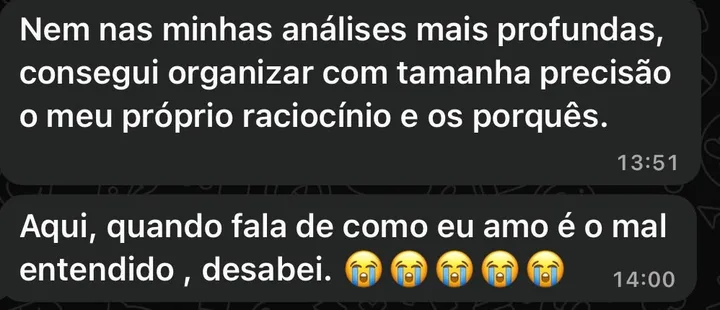Print do WhatsApp de Amanda: nem nas minhas análises mais profundas consegui organizar com tamanha precisão o meu próprio raciocínio e os porquês. Quando fala de como eu amo, desabei.